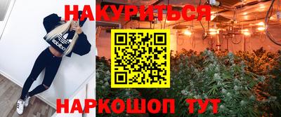 стаф Будённовск