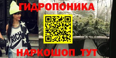 стаф Будённовск