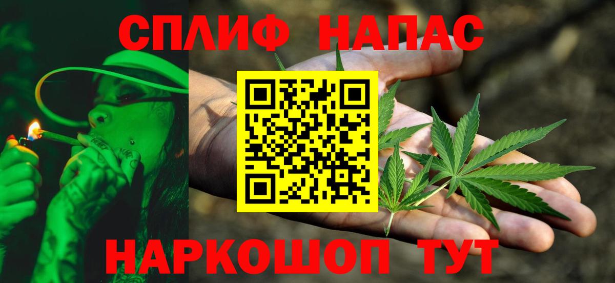 Каннабис планчик Кохма